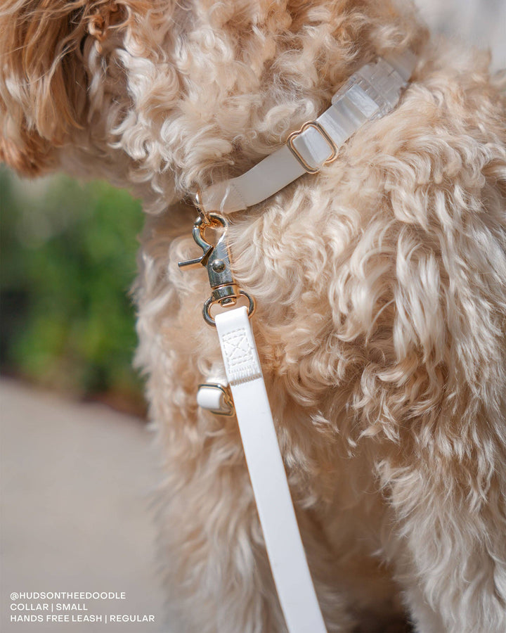 Cloud Hands-Free Convertible Leash