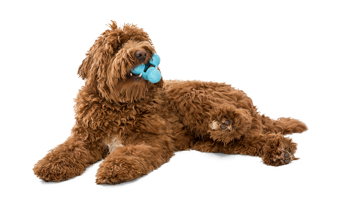 Tux® Puzzle Treat-Dispensing Slow Feeder Dog Toy