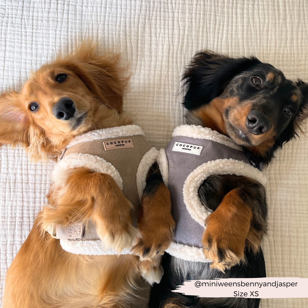 Aviator Adjustable Neck Harness