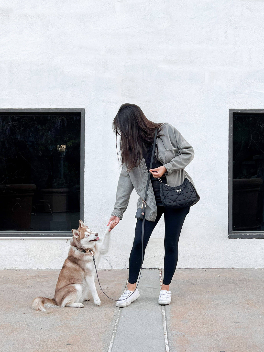 Cloud Hands-Free Convertible Leash