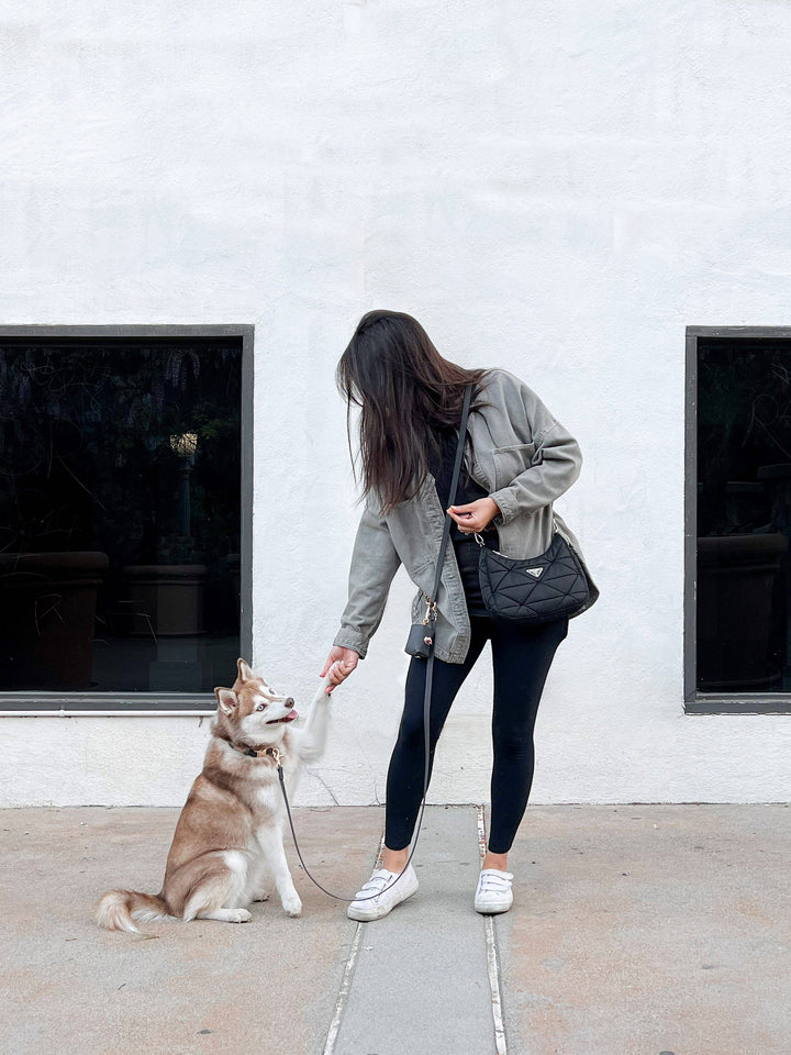 Cloud Hands-Free Convertible Leash