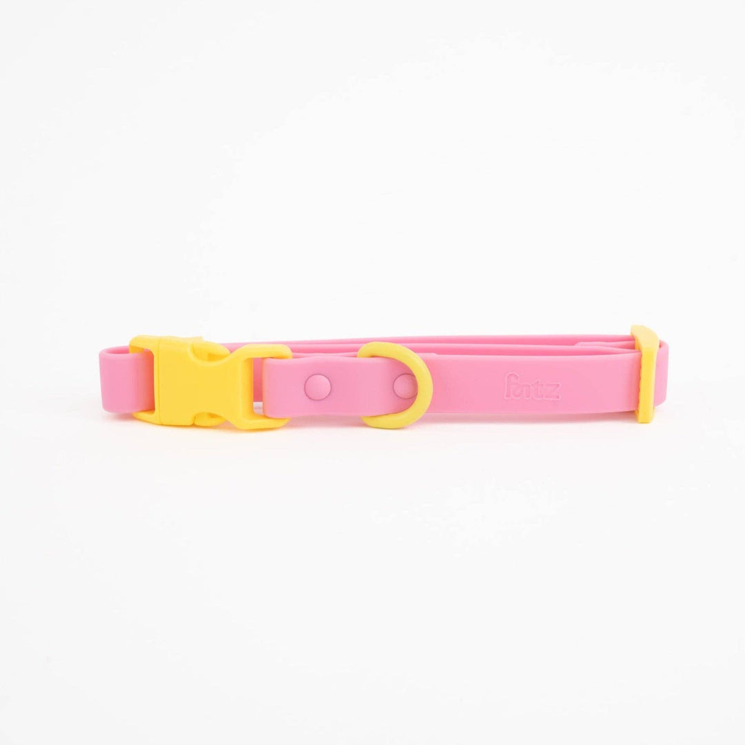 The Fritz Dog Collar
