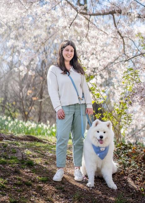 Cloud Wide Hands-Free Convertible Leash