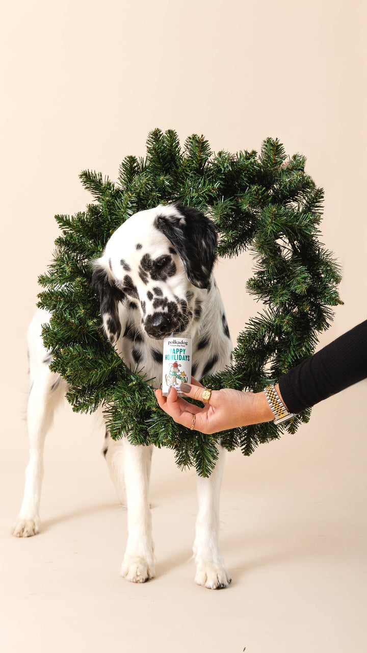 Yappy Howlidays - Holiday Dog Treats