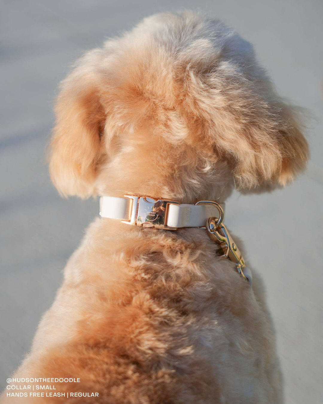 Cloud Waterproof Collar