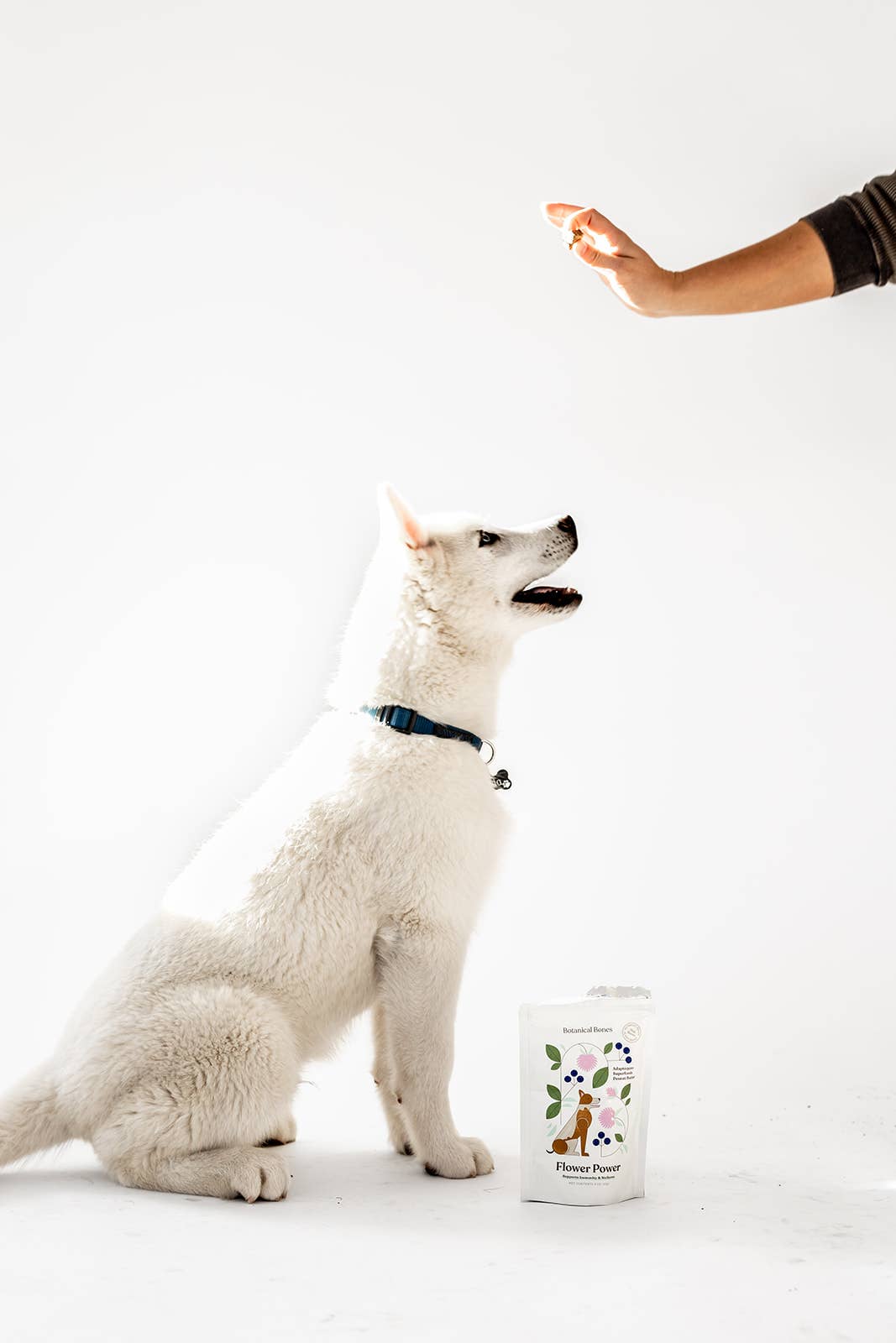 Botanical Bones - Organic Dog Treats
