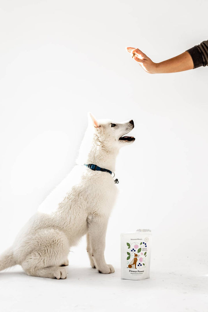 Botanical Bones - Organic Dog Treats