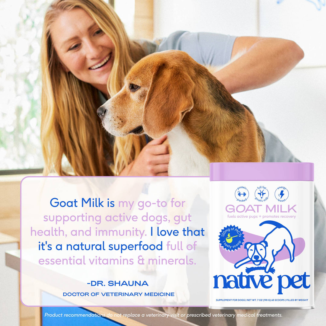 Goat Milk Powder Recovery & Energy Support for Active Dogs