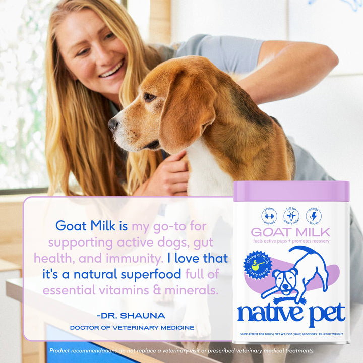 Goat Milk Powder Recovery & Energy Support for Active Dogs