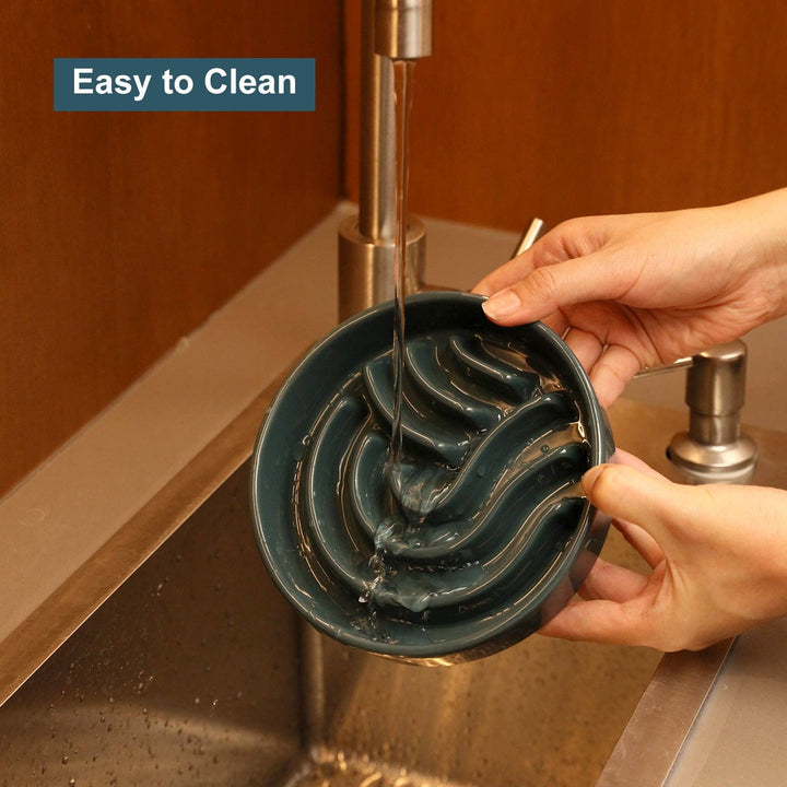 Spark Slow Feeder Dog Bowl
