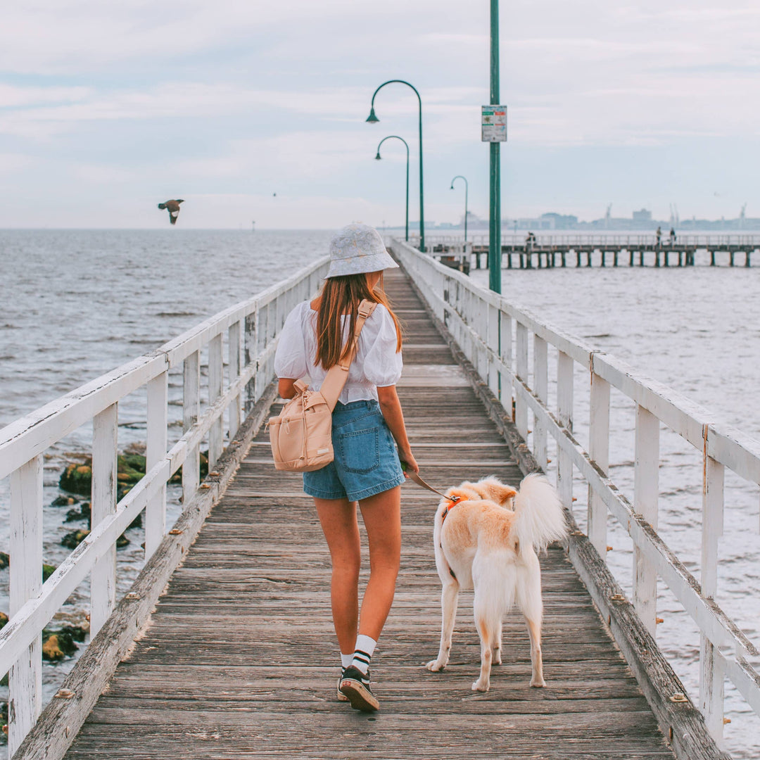 Everyday Dog Walking Bag & Treat Pouch