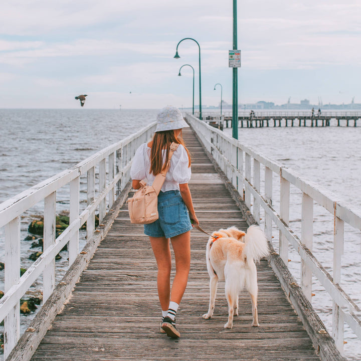 Everyday Dog Walking Bag & Treat Pouch
