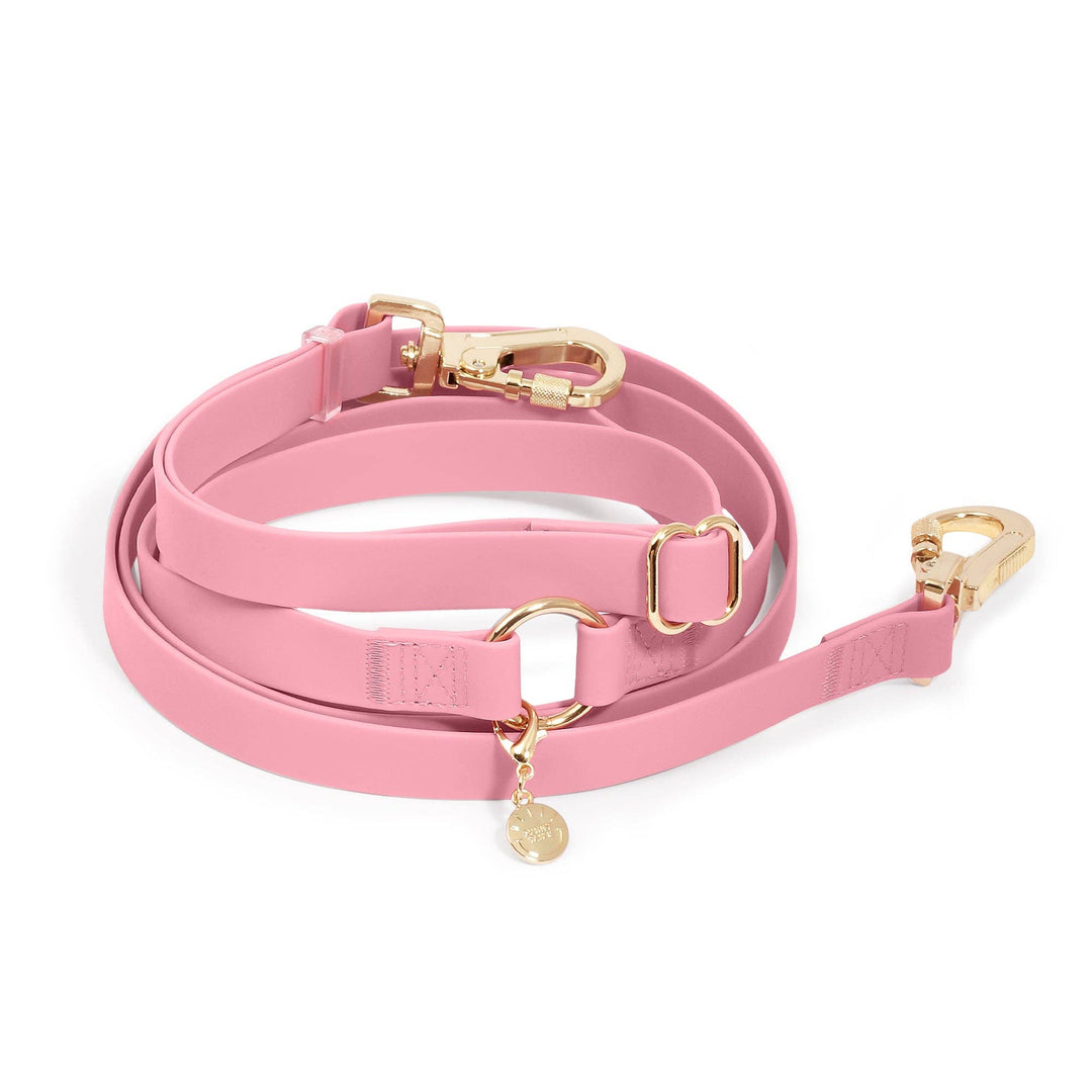 Cloud Wide Hands-Free Convertible Leash