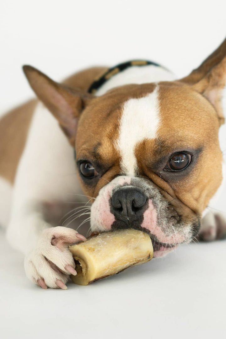 Bison Marrow Bone