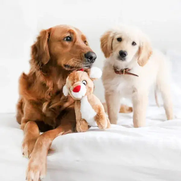 Reindeer Toy