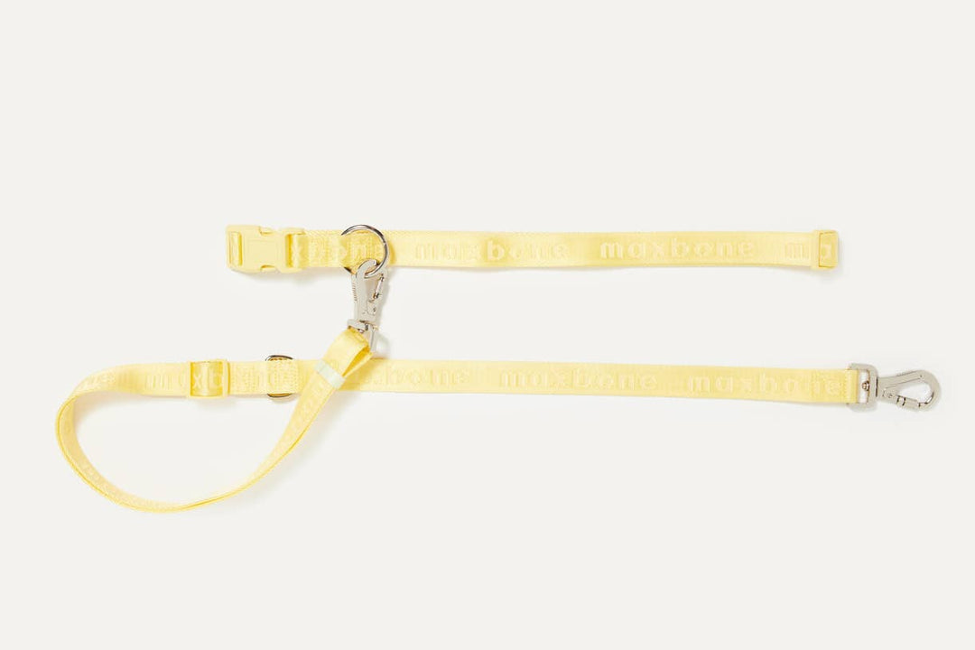 GO! With Ease Hands-Free Leash