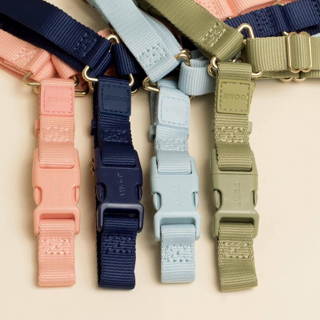 Roam Harness