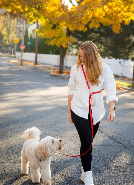 Cloud Hands-Free Convertible Leash