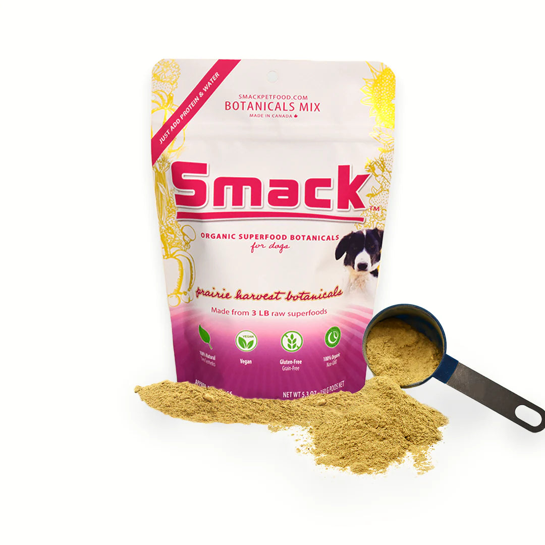 Very Berry Botanicals- Organic Superfood Topper for Dogs