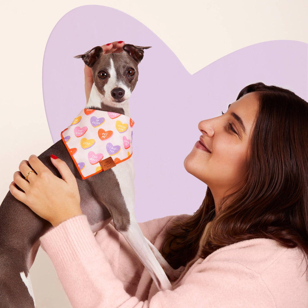 Candy Hearts Valentine's Day Bandana