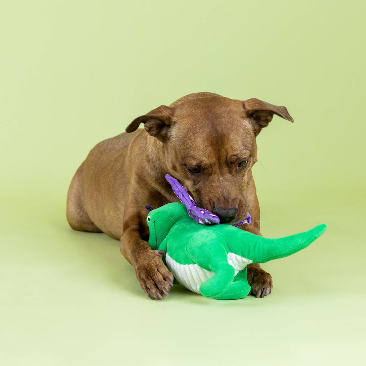 FLUTTER REX PLUSH DOG TOY