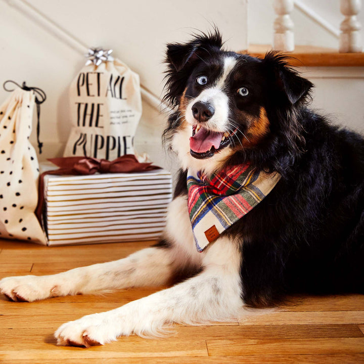 Regent Plaid Flannel Holiday Bandana