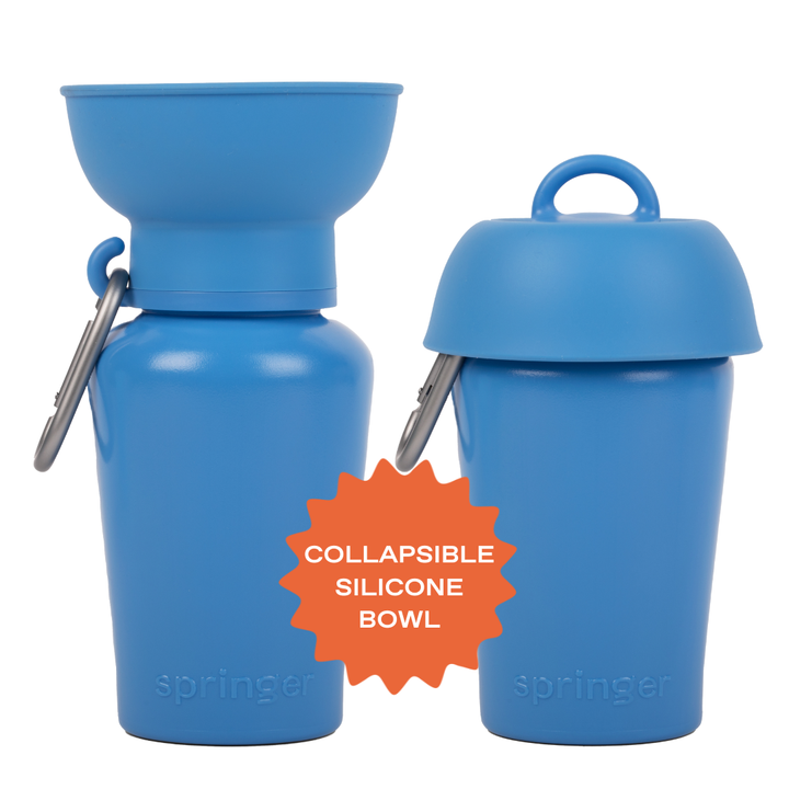 Flip Travel Water Bottle (20 oz)
