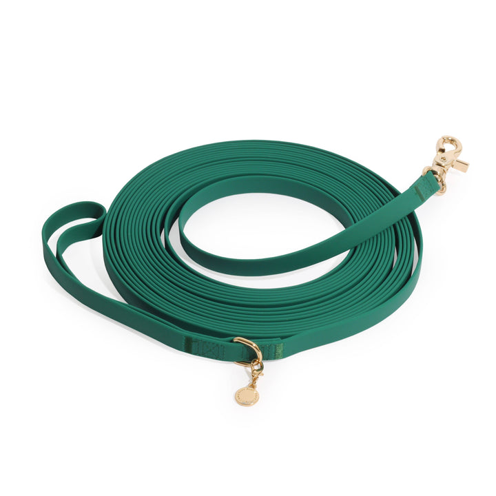 Cloud Waterproof Long Line Leash (30 ft)