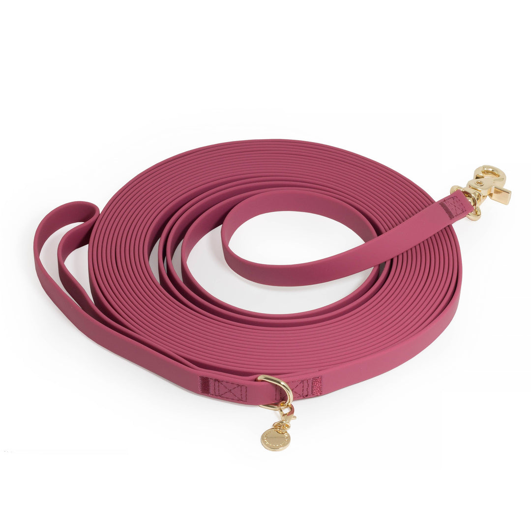 Cloud Waterproof Long Line Leash (30 ft)