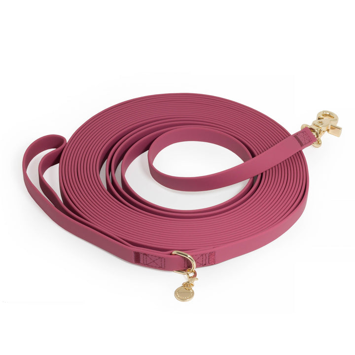 Cloud Waterproof Long Line Leash (30 ft)