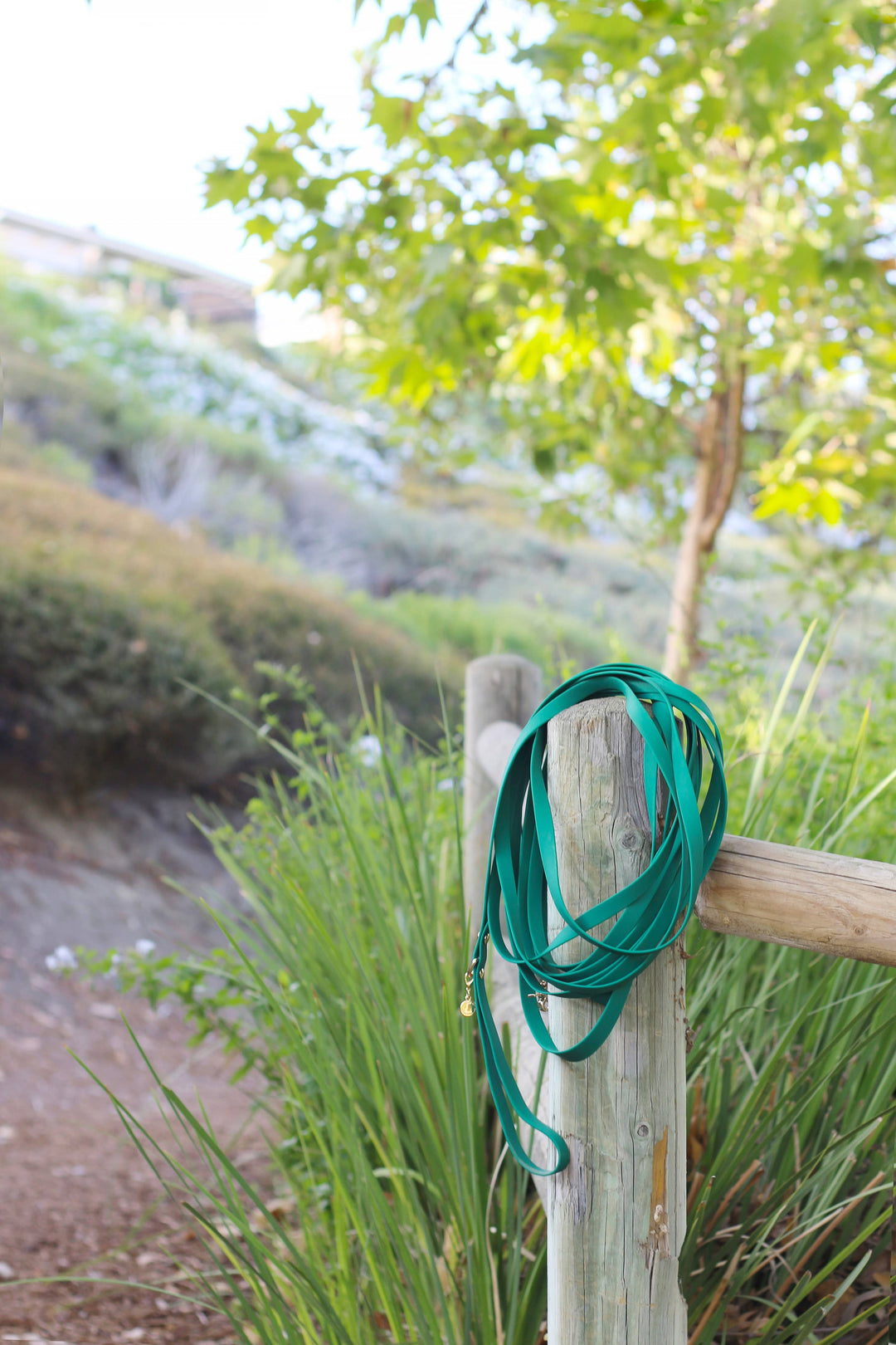 Cloud Waterproof Long Line Leash (30 ft)
