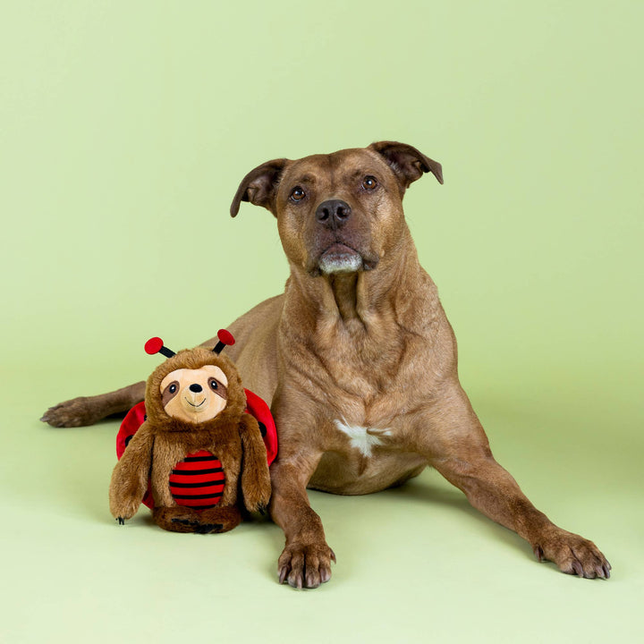 LITTLE LADYBUG PLUSH DOG TOY