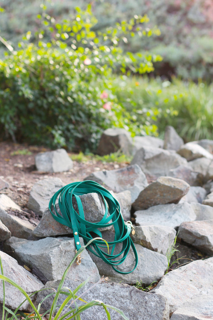 Cloud Waterproof Long Line Leash (30 ft)