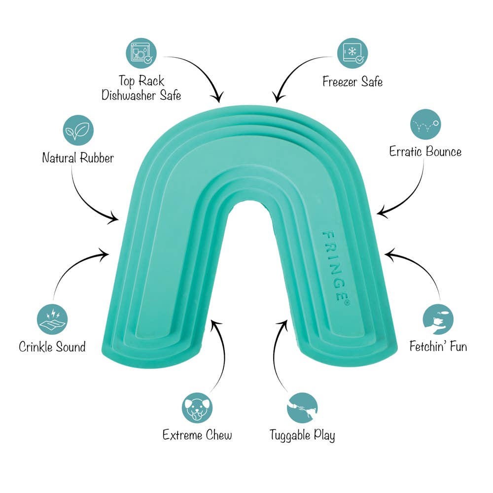 COLOR ME HAPPY TURQUOISE RUBBER DOG TOY