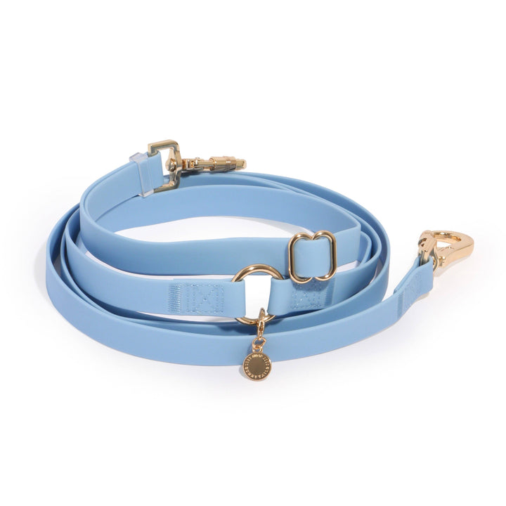 Cloud Hands-Free Convertible Leash