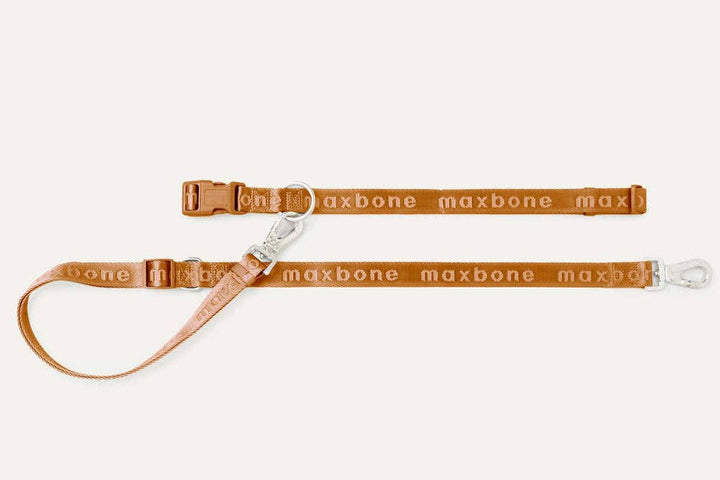 GO! With Ease Hands-Free Leash