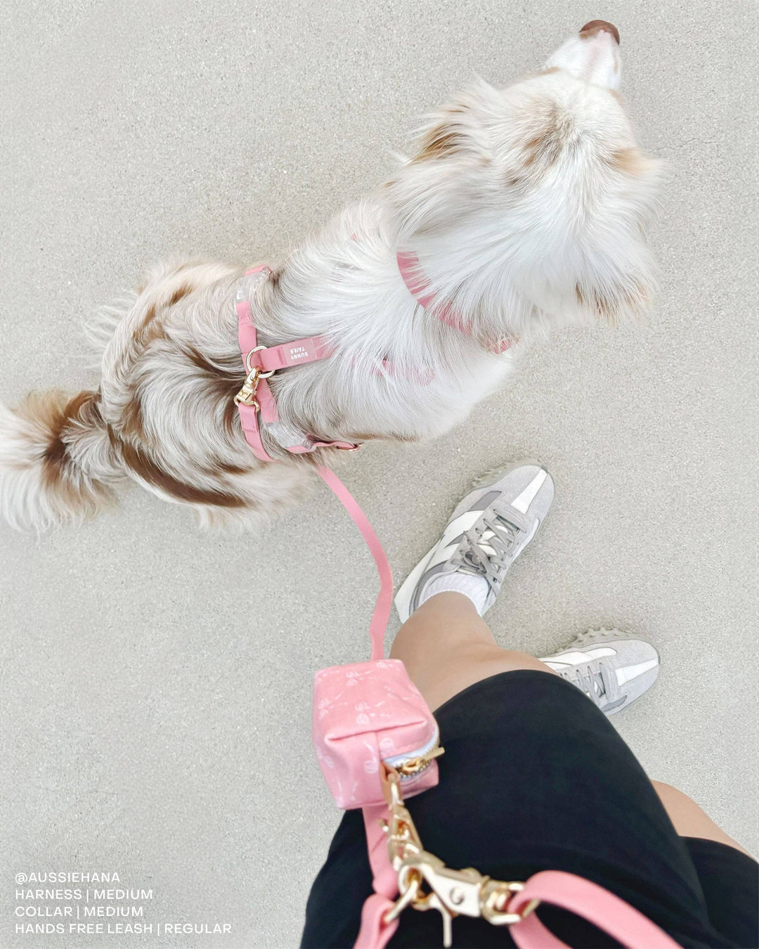 Cloud Hands-Free Convertible Leash