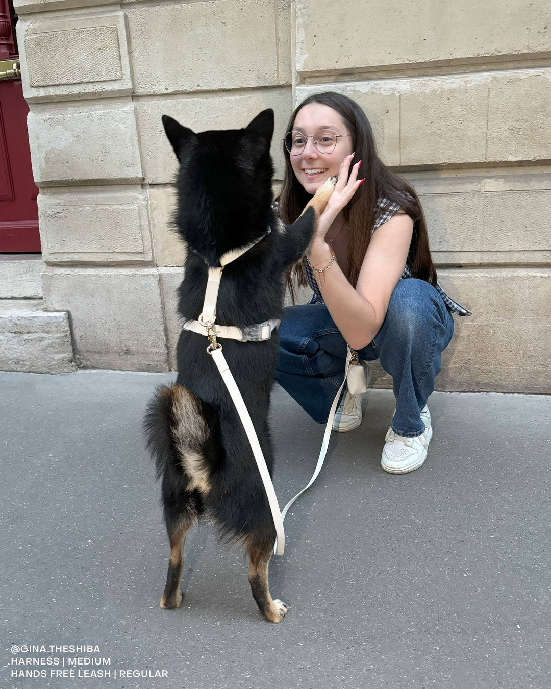 Cloud Hands-Free Convertible Leash