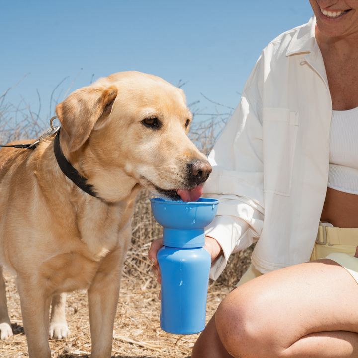 Flip Travel Water Bottle (20 oz)