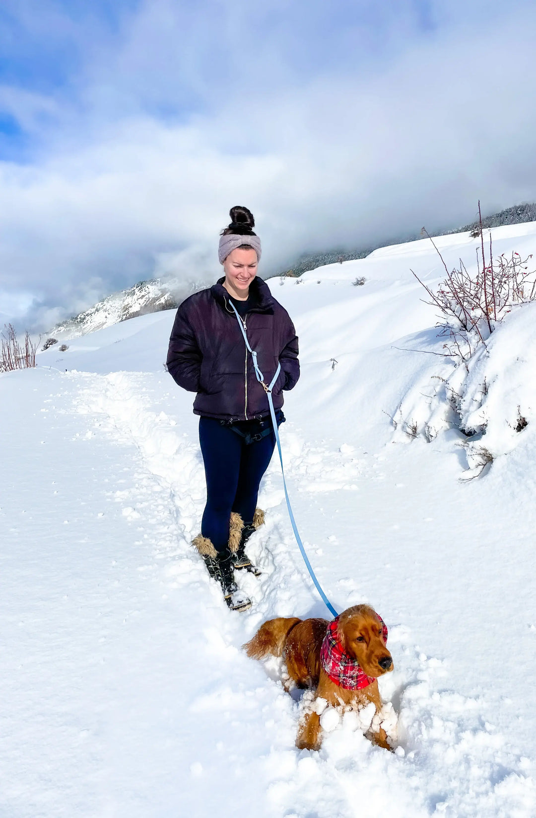 Cloud Hands-Free Convertible Leash