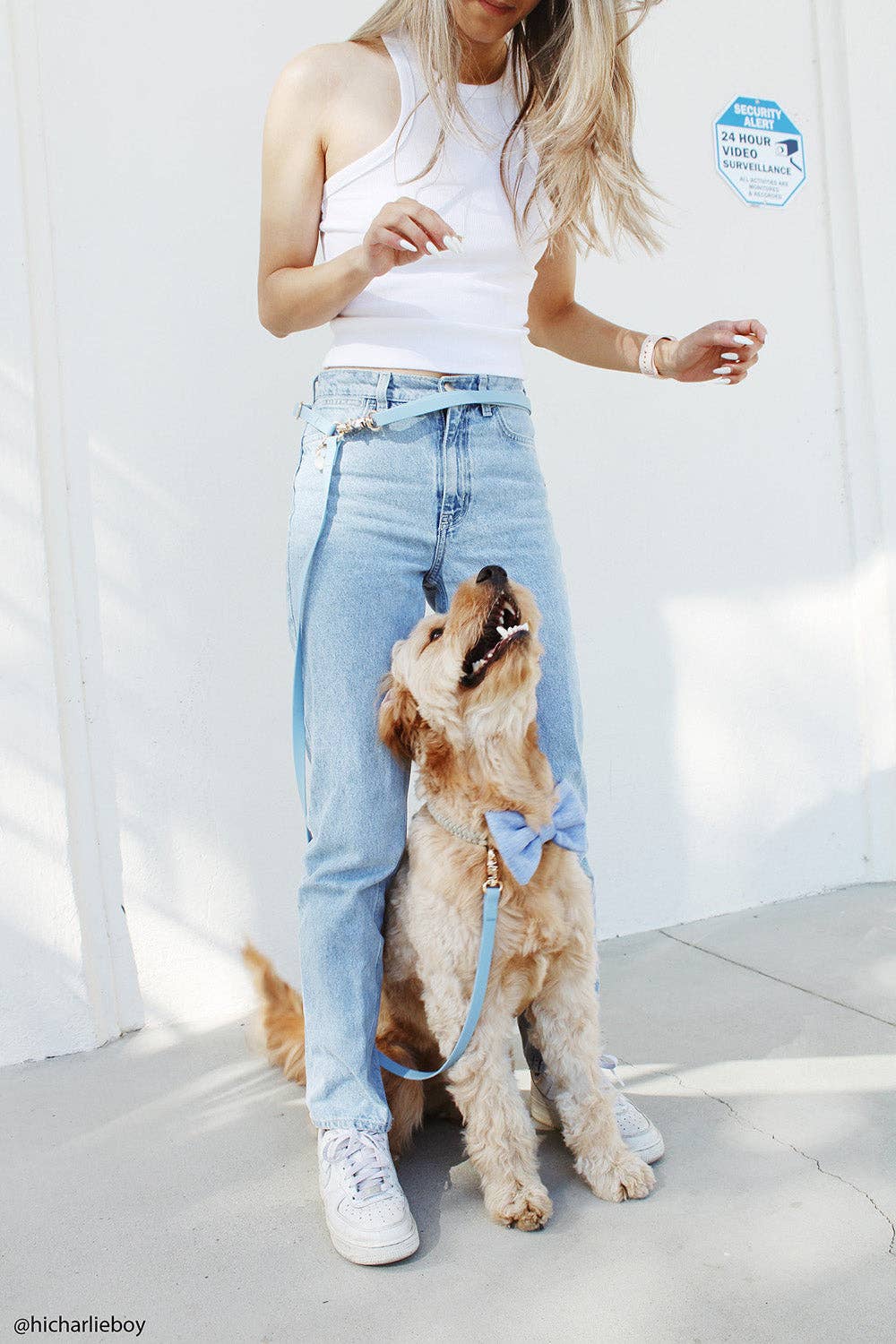 Cloud Hands-Free Convertible Leash