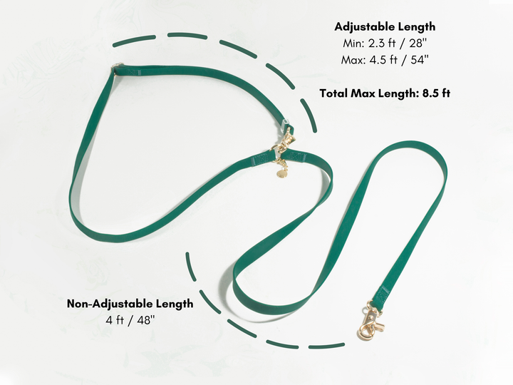 Cloud Hands-Free Convertible Leash