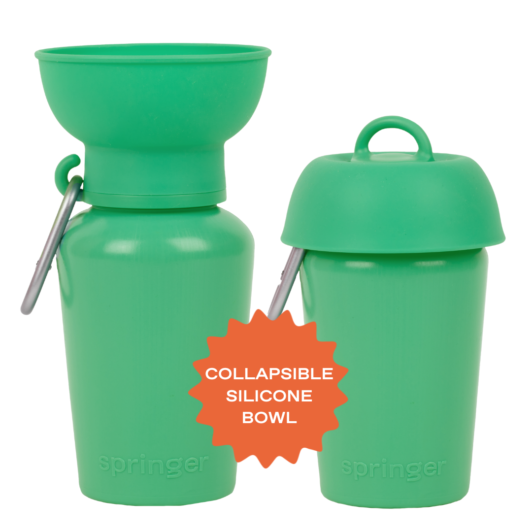Flip Travel Water Bottle (20 oz)