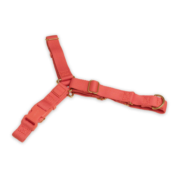 Roam Harness