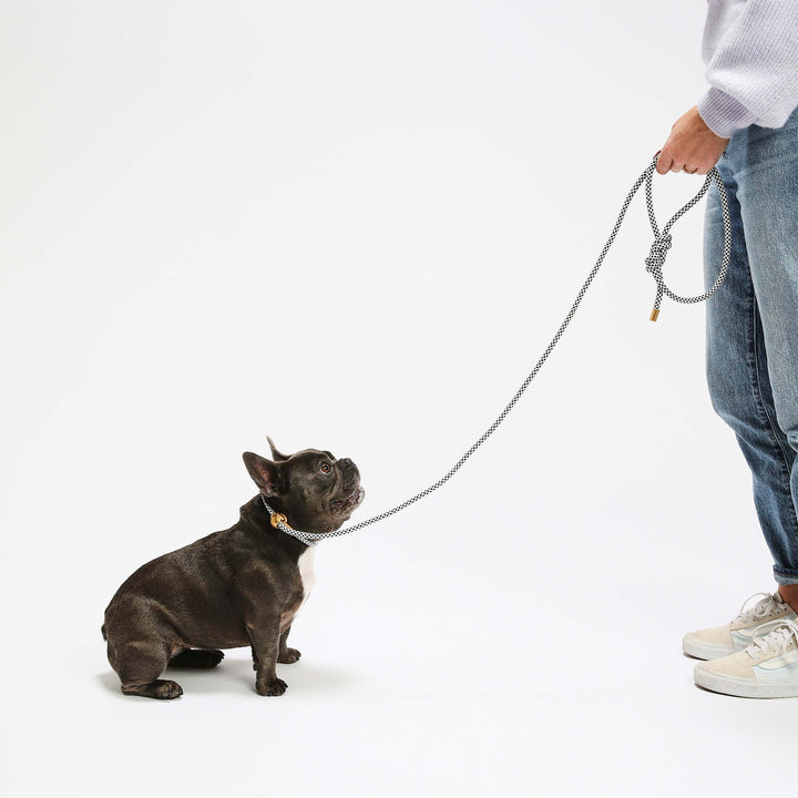 Mini Black Diamond Simple Slip Lead™