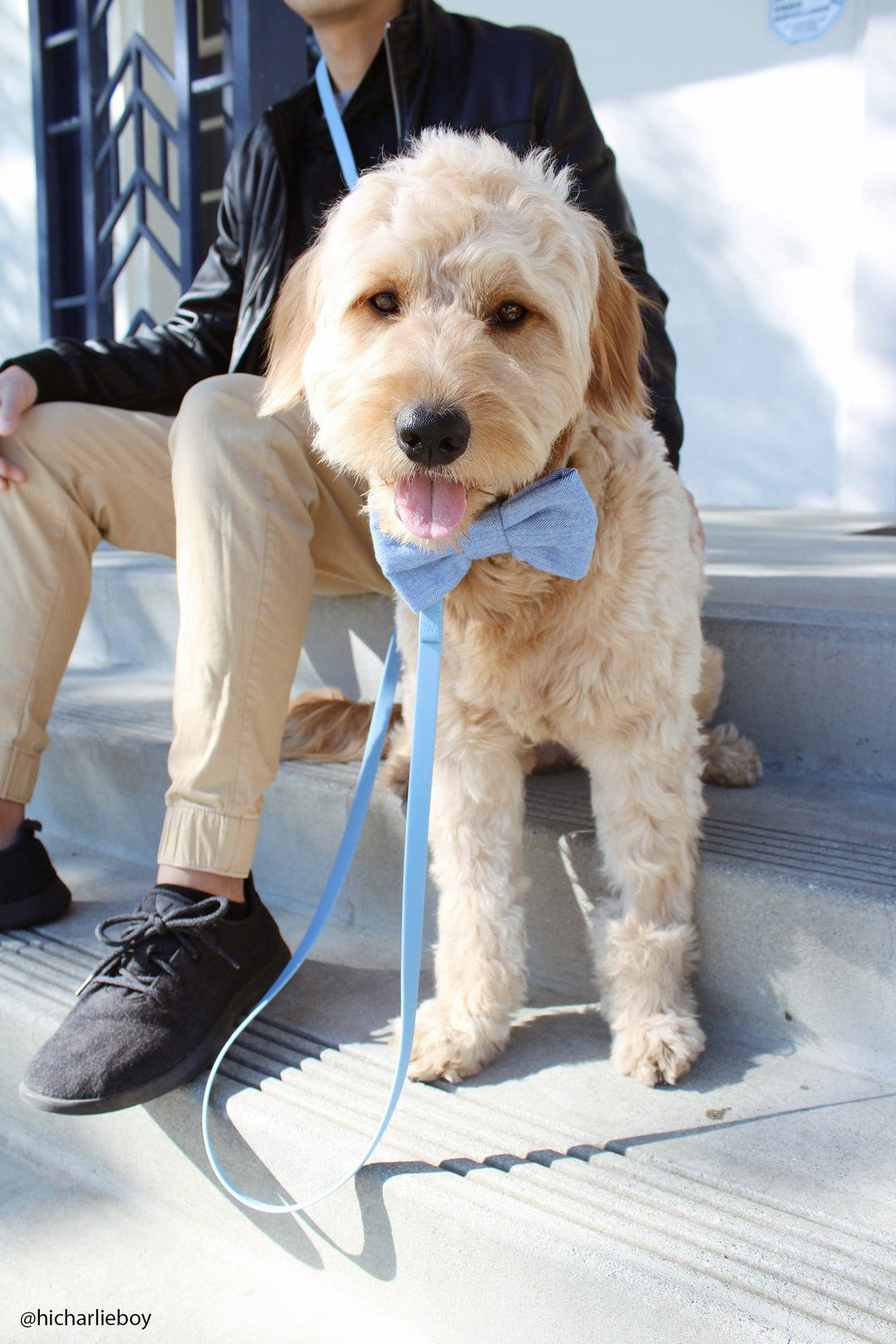 Cloud Hands-Free Convertible Leash