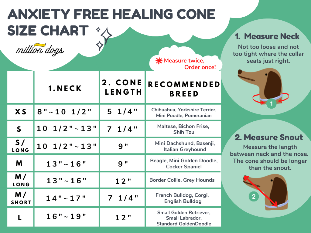 Check Healing Cone Recovery Collar