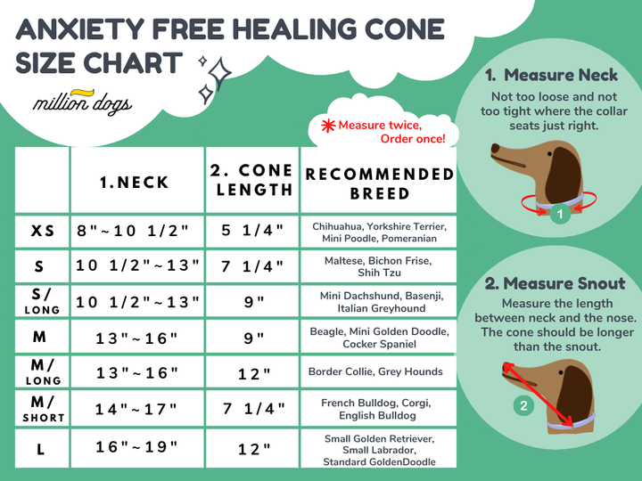 Check Healing Cone Recovery Collar
