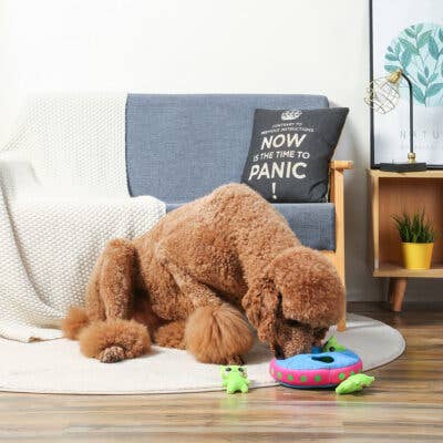 Space Paws Aliens - Interactive Toy