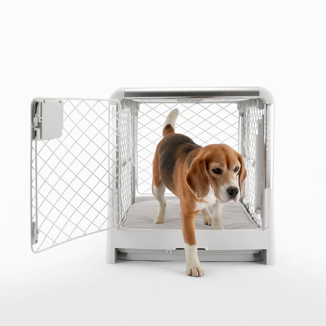 Revol Collapsible Dog Crate